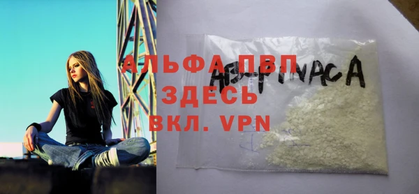 ешки Алексин