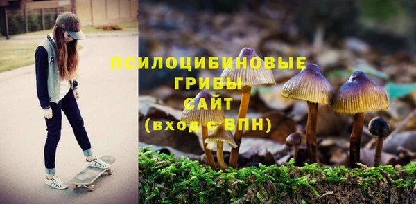 ALPHA-PVP Алексеевка