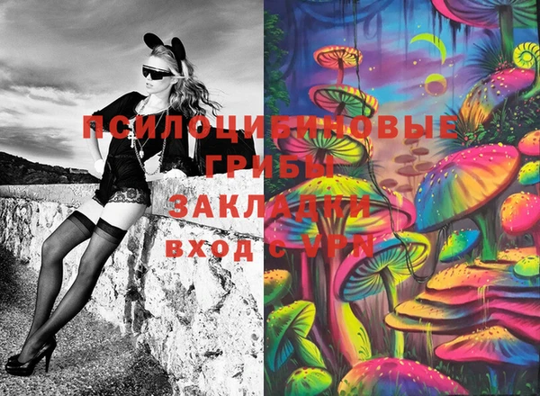 ешки Алексин