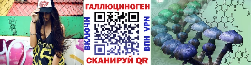 omg зеркало  Благовещенск  Галлюциногенные грибы Psilocybine cubensis  хочу наркоту 