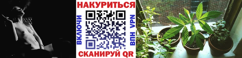 где можно купить   Благовещенск  Марихуана планчик 